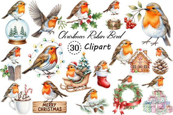 Christmas Robin Bird PNG Clipart and Illustrations